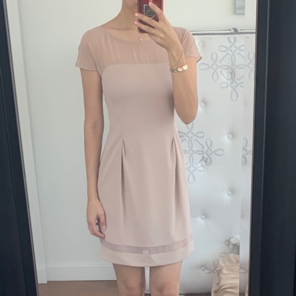Philosophy De Alberta Ferretti Blush Short Sleeve Sheer Neckline Dress